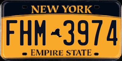 NY license plate FHM3974