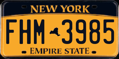 NY license plate FHM3985