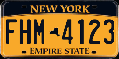 NY license plate FHM4123