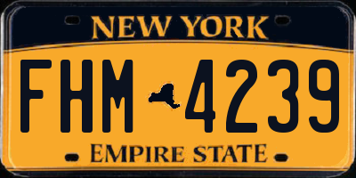 NY license plate FHM4239