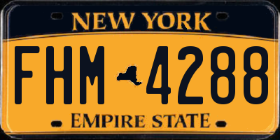 NY license plate FHM4288