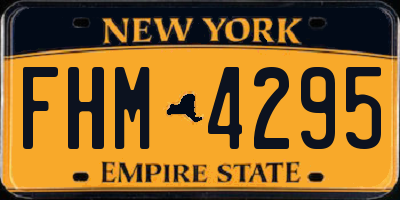 NY license plate FHM4295