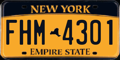NY license plate FHM4301
