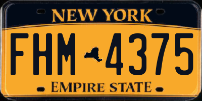 NY license plate FHM4375