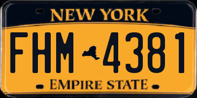 NY license plate FHM4381