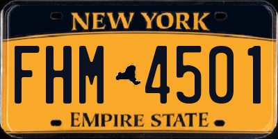 NY license plate FHM4501