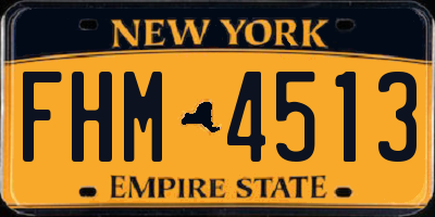 NY license plate FHM4513