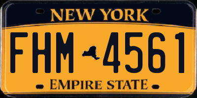NY license plate FHM4561