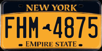 NY license plate FHM4875