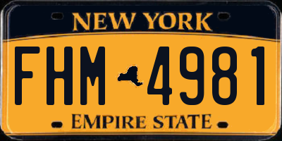 NY license plate FHM4981