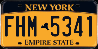 NY license plate FHM5341