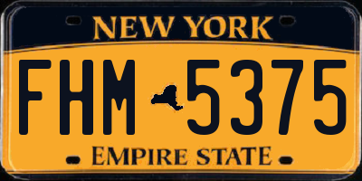NY license plate FHM5375