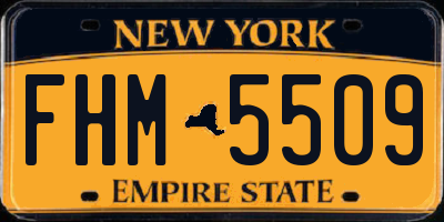NY license plate FHM5509