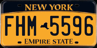 NY license plate FHM5596