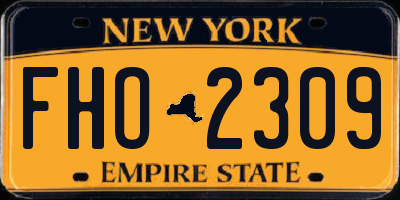 NY license plate FHO2309