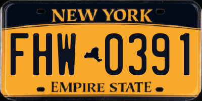 NY license plate FHW0391