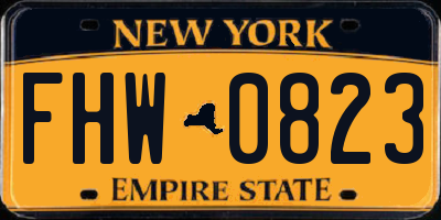 NY license plate FHW0823