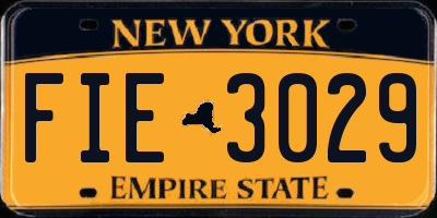 NY license plate FIE3029