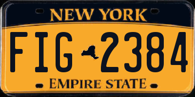 NY license plate FIG2384