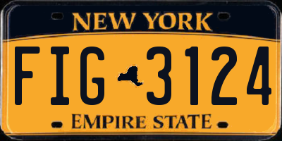 NY license plate FIG3124