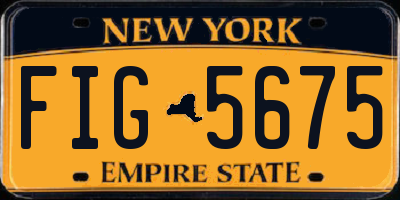 NY license plate FIG5675