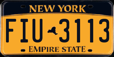 NY license plate FIU3113