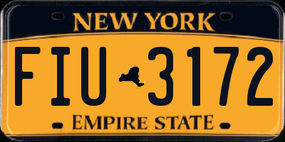 NY license plate FIU3172