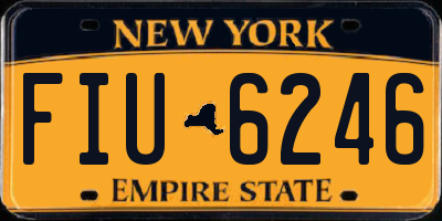 NY license plate FIU6246