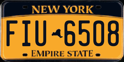 NY license plate FIU6508