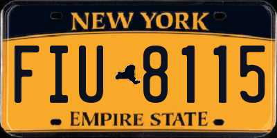 NY license plate FIU8115