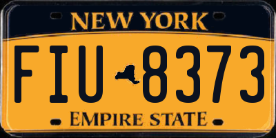 NY license plate FIU8373