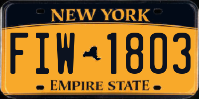 NY license plate FIW1803