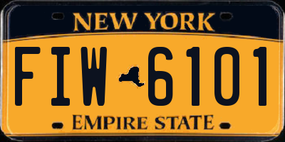 NY license plate FIW6101