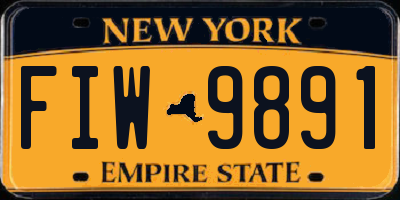 NY license plate FIW9891
