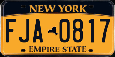NY license plate FJA0817