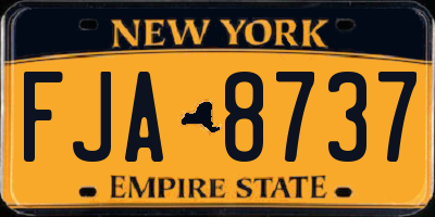 NY license plate FJA8737