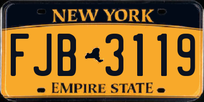 NY license plate FJB3119
