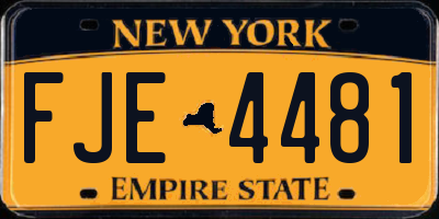 NY license plate FJE4481