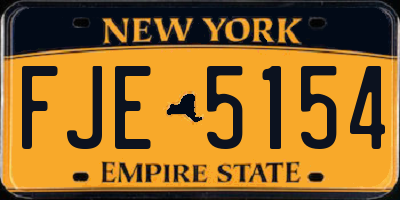 NY license plate FJE5154
