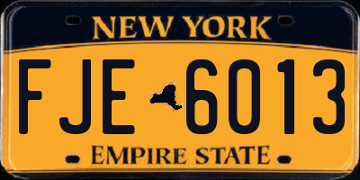 NY license plate FJE6013