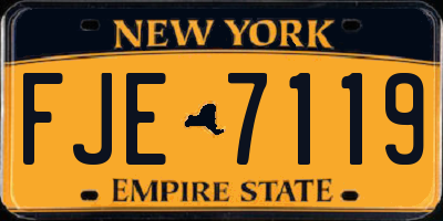 NY license plate FJE7119