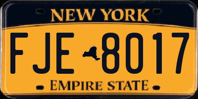 NY license plate FJE8017
