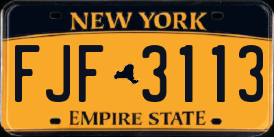 NY license plate FJF3113