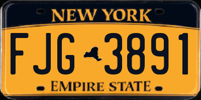 NY license plate FJG3891