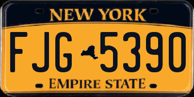 NY license plate FJG5390