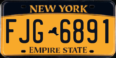 NY license plate FJG6891
