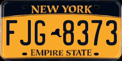 NY license plate FJG8373