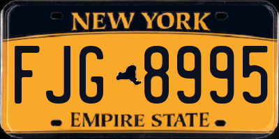 NY license plate FJG8995