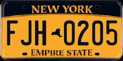 NY license plate FJH0205