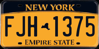 NY license plate FJH1375